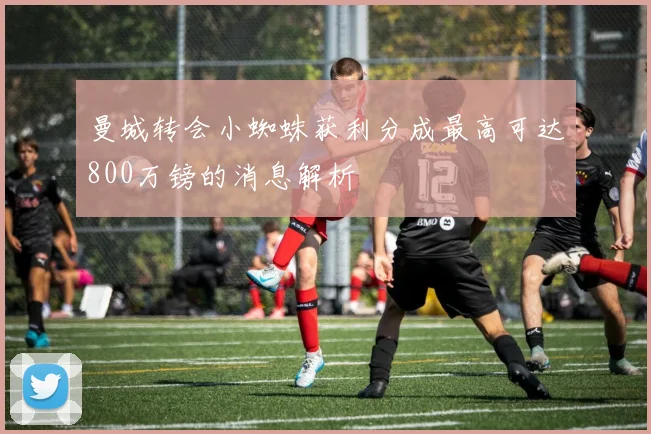 曼城转会小蜘蛛获利分成最高可达800万镑的消息解析